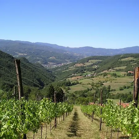 La Vigna Di San Pietro بورجو فال دي تارو